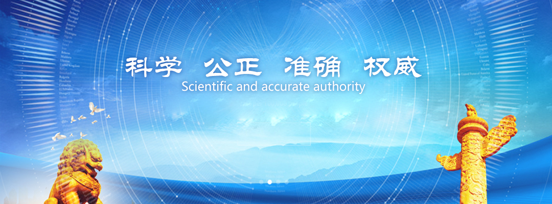 大图一